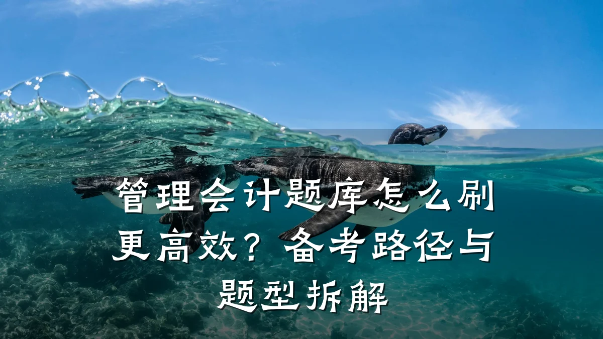 管理会计题库怎么刷更高效?备考路径与题型拆解