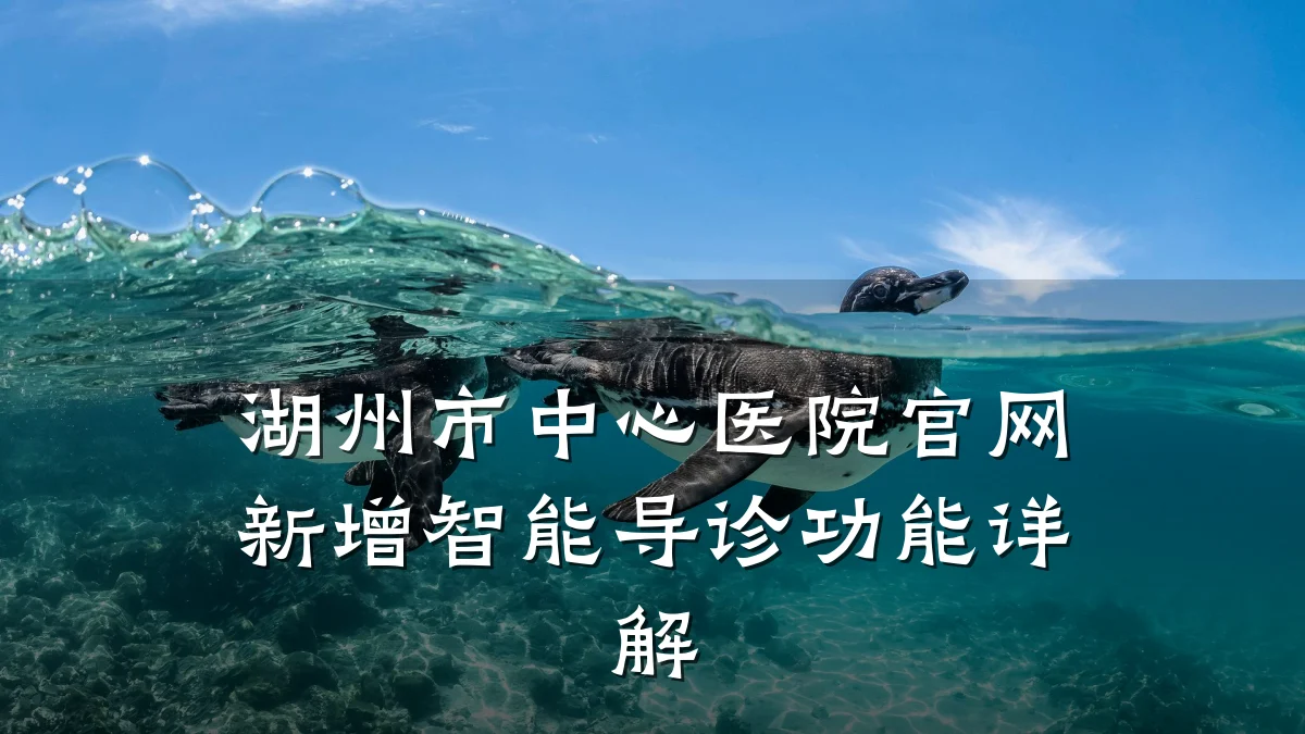 湖州市中心医院官网新增智能导诊功能详解