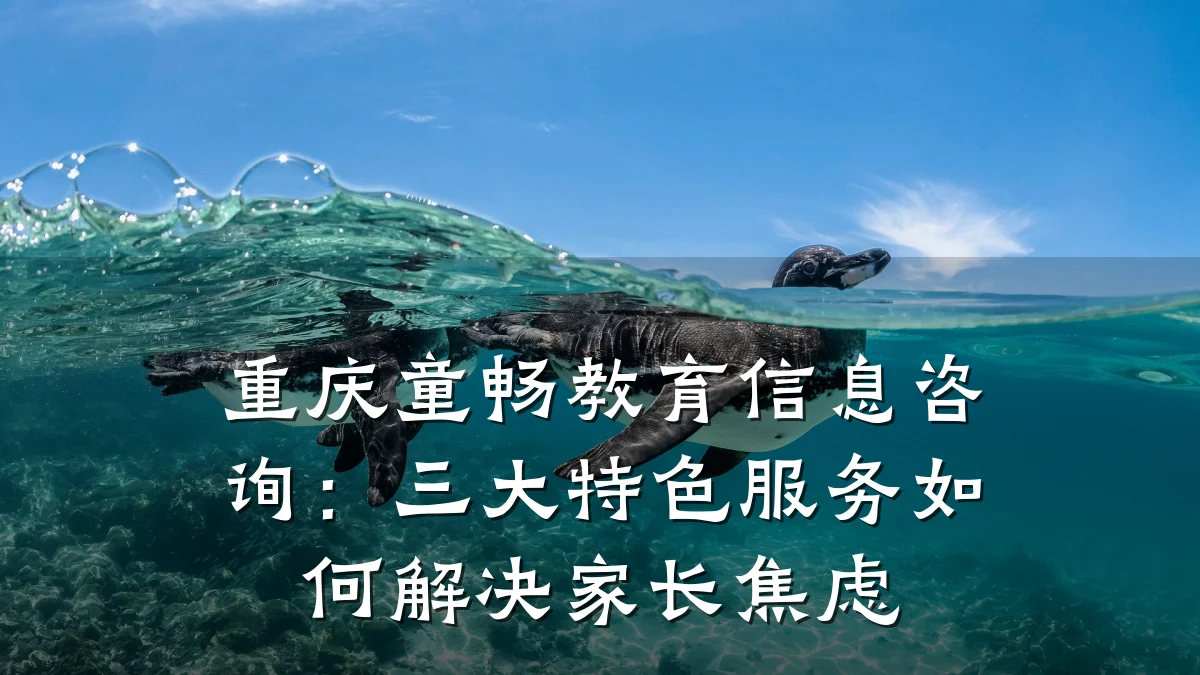 重庆童畅教育信息咨询:三大特色服务如何解决家长焦虑