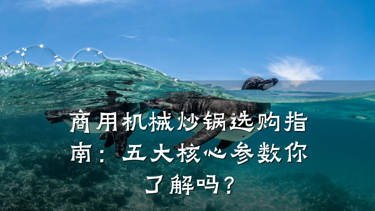 商用机械炒锅选购指南:五大核心参数你了解吗?
