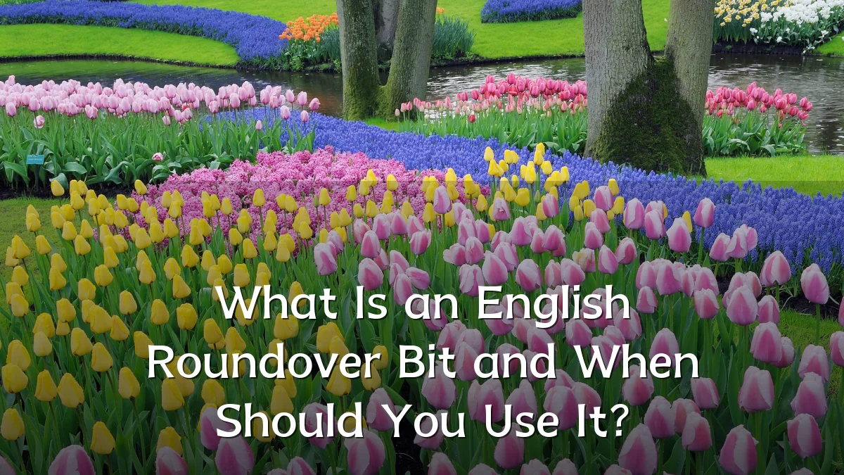 What Is an English Roundover Bit and When Should You Use It?