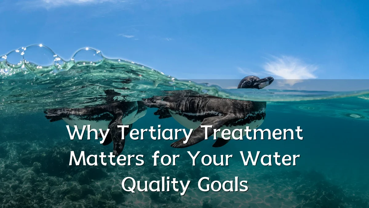 Why Tertiary Treatment Matters for Your Water Quality Goals