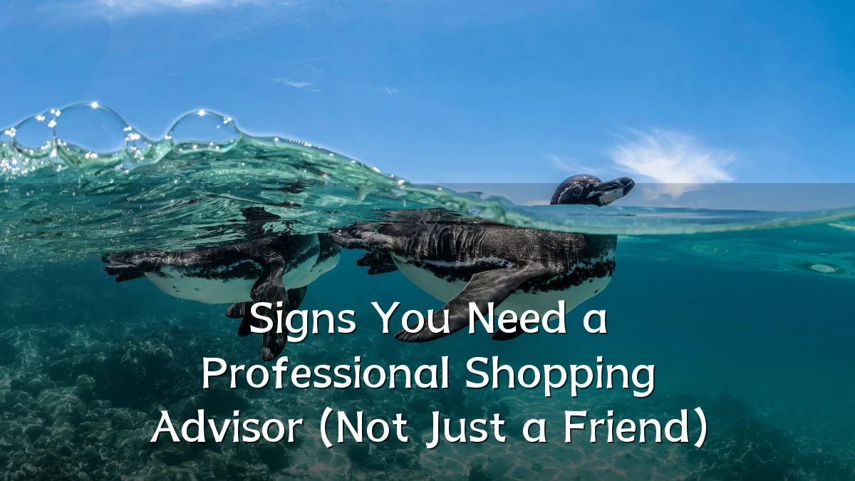 Signs You Need a Professional Shopping Advisor (Not Just a Friend)