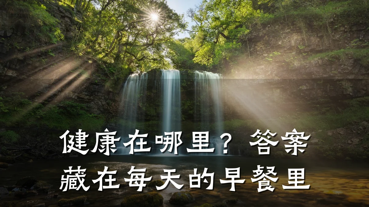 健康在哪里？答案藏在每天的早餐里