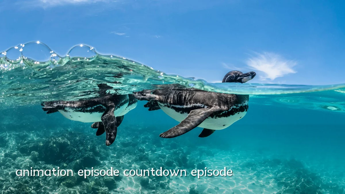 animation episode countdown episode