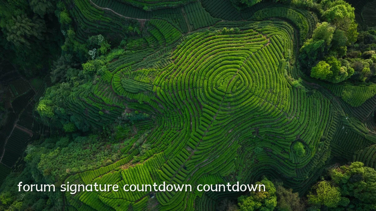 forum signature countdown countdown
