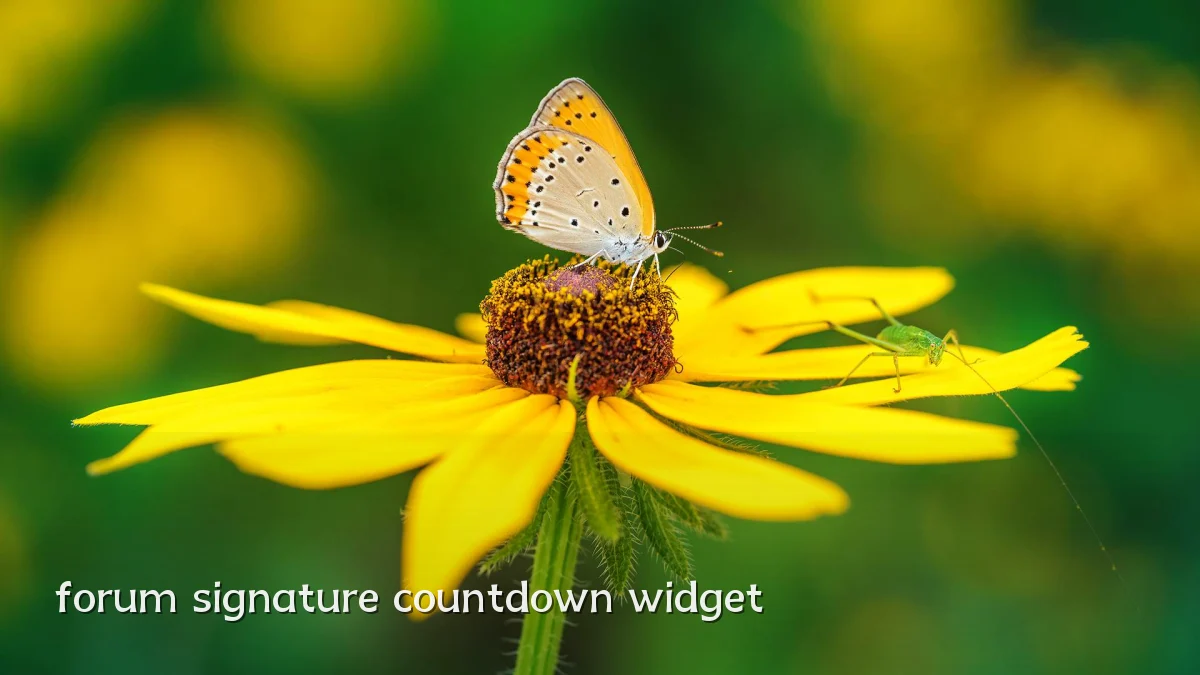 forum signature countdown widget