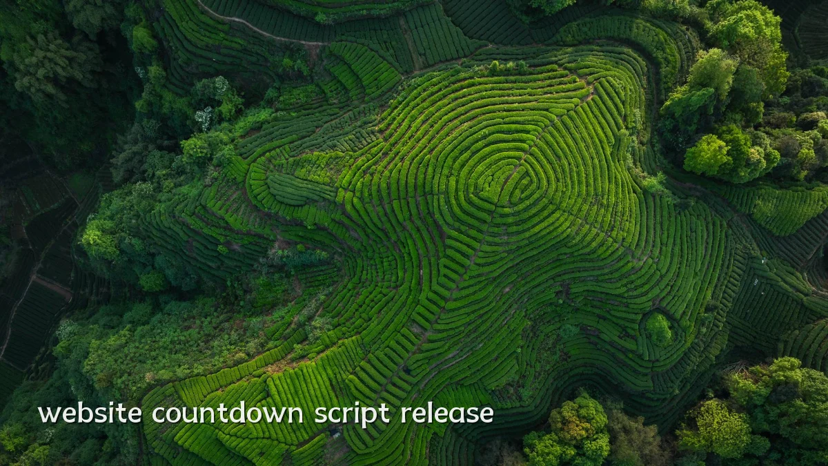 website countdown script release