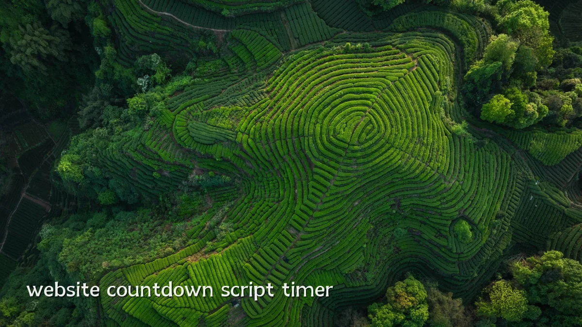website countdown script timer