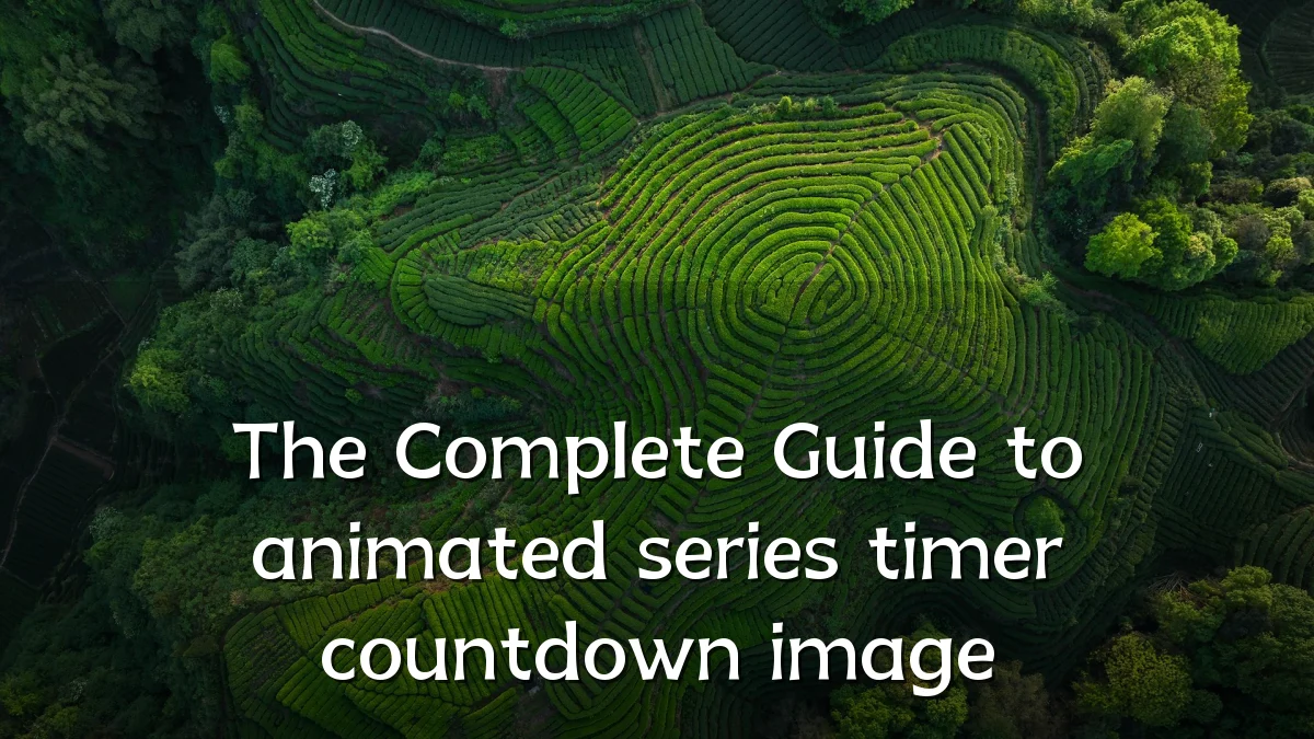 The Complete Guide to animated series timer countdown image