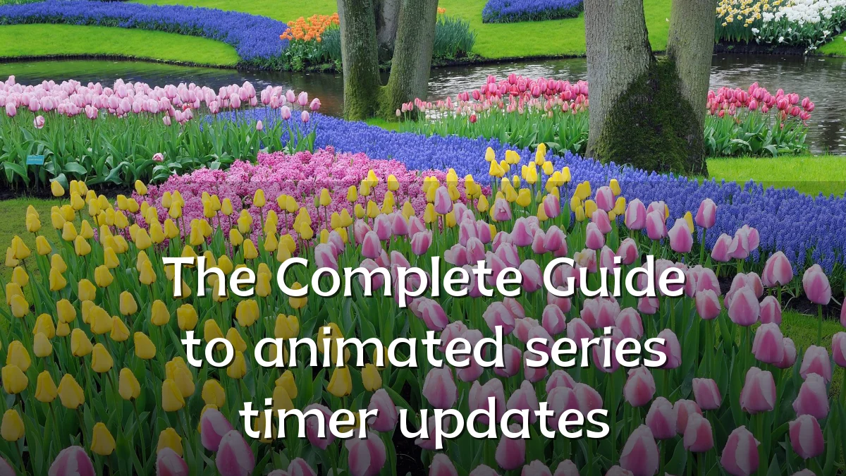 The Complete Guide to animated series timer updates