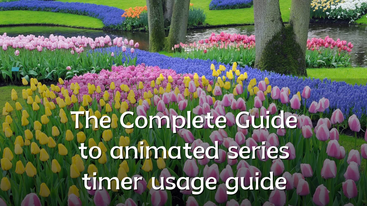 The Complete Guide to animated series timer usage guide
