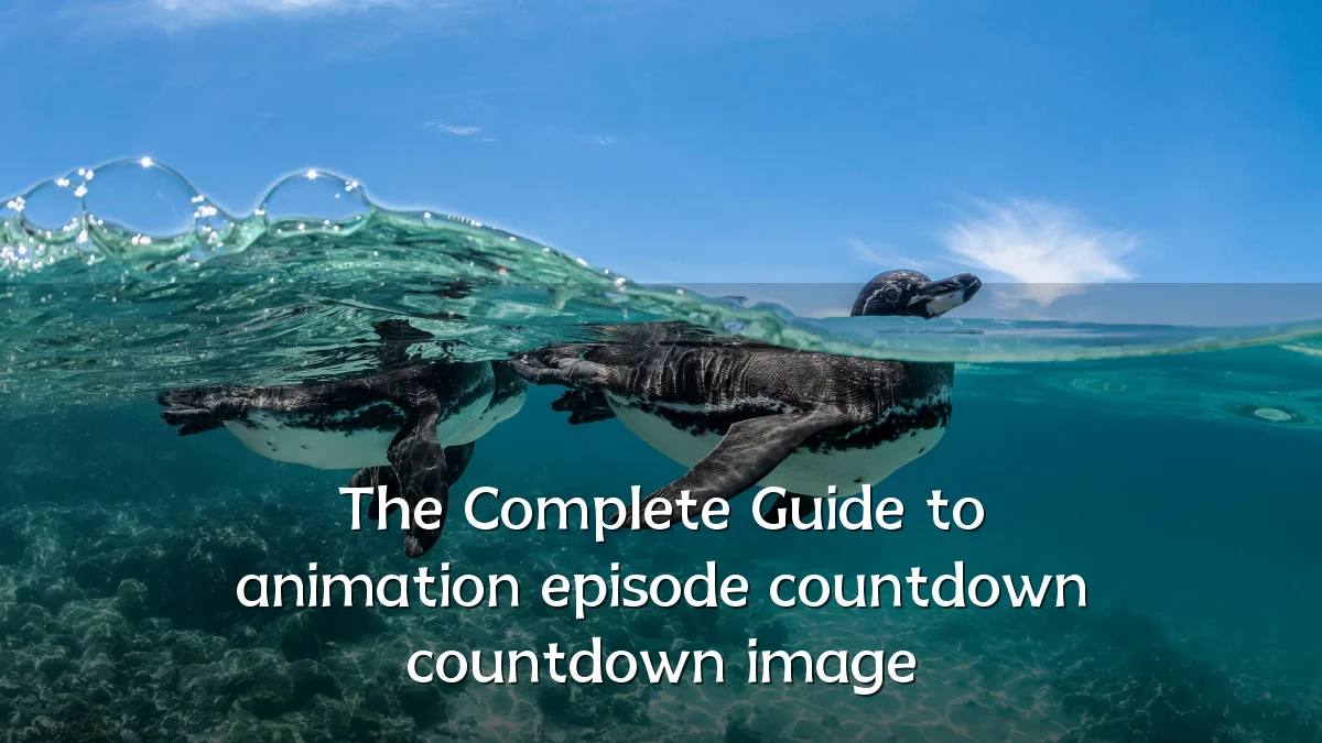 The Complete Guide to animation episode countdown countdown image