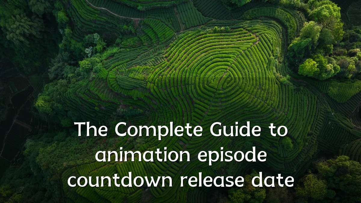 The Complete Guide to animation episode countdown release date