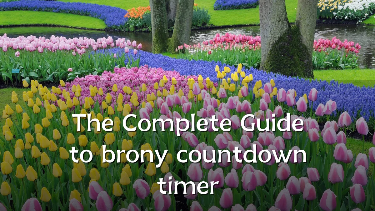 The Complete Guide to brony countdown timer