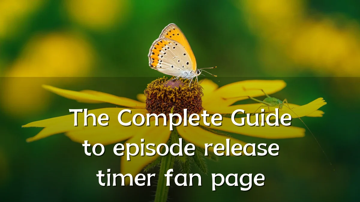 The Complete Guide to episode release timer fan page