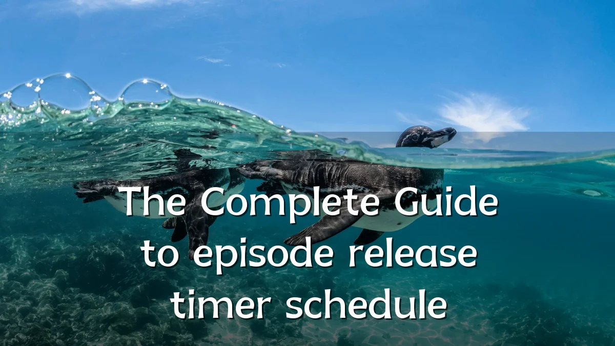 The Complete Guide to episode release timer schedule
