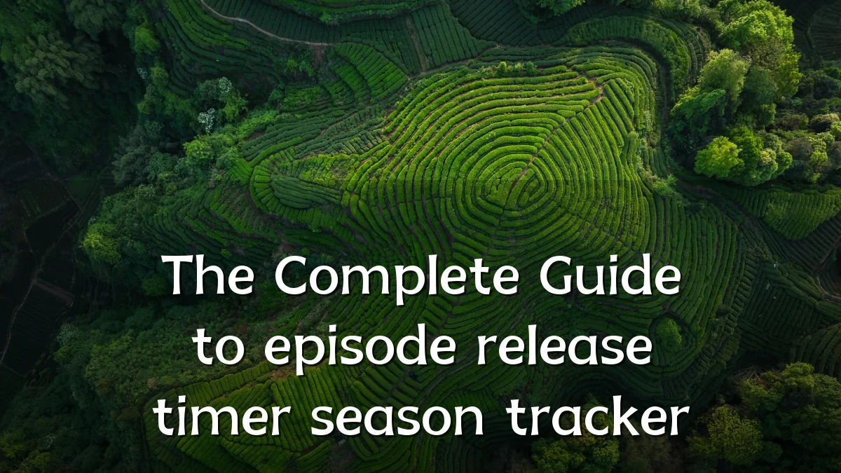 The Complete Guide to episode release timer season tracker