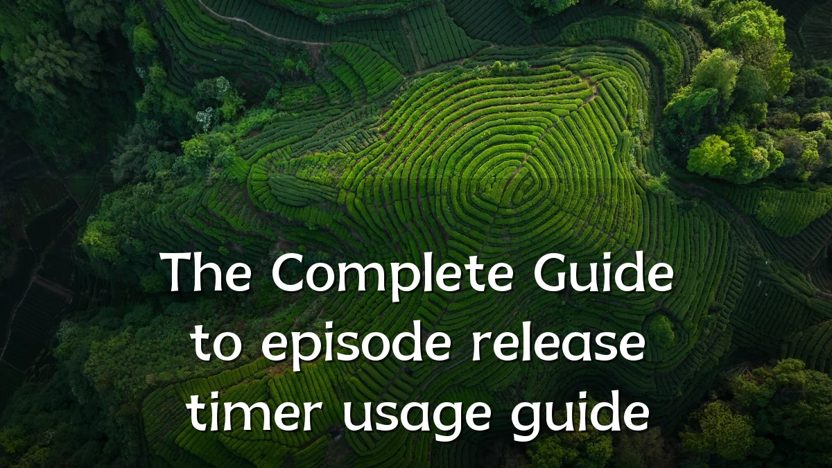 The Complete Guide to episode release timer usage guide