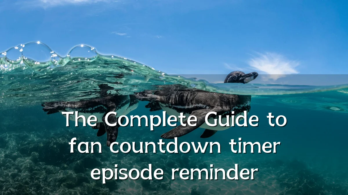 The Complete Guide to fan countdown timer episode reminder