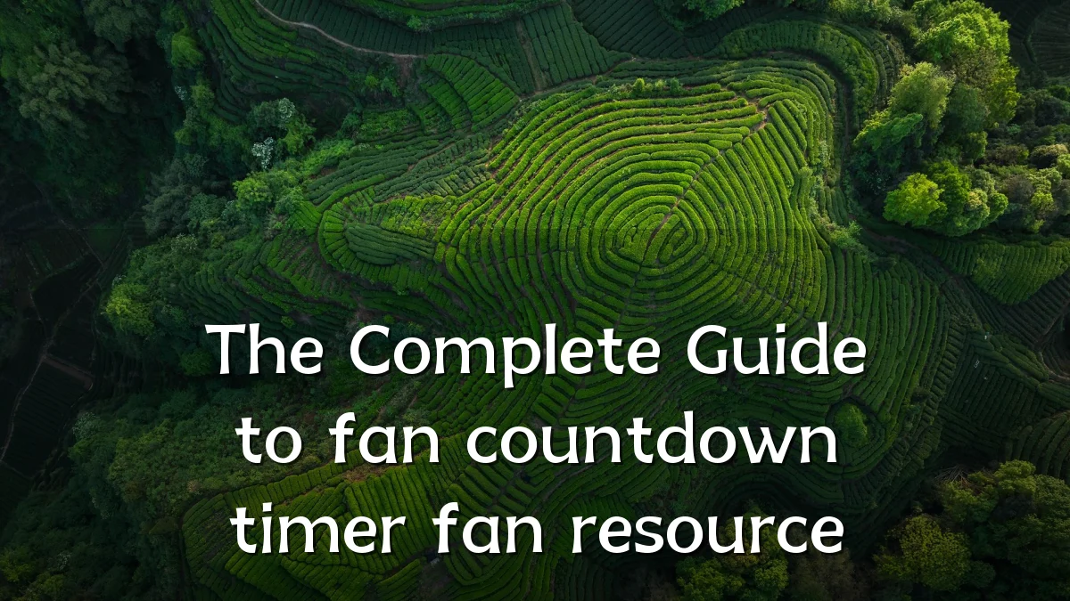 The Complete Guide to fan countdown timer fan resource