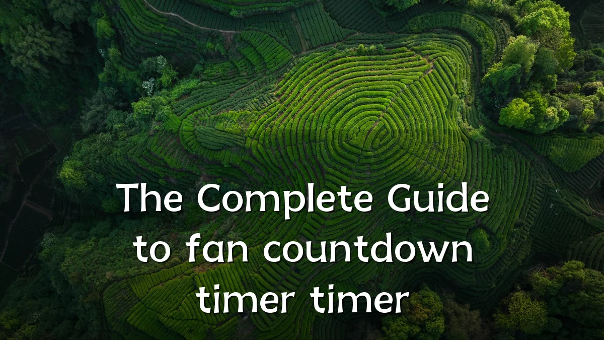 The Complete Guide to fan countdown timer timer
