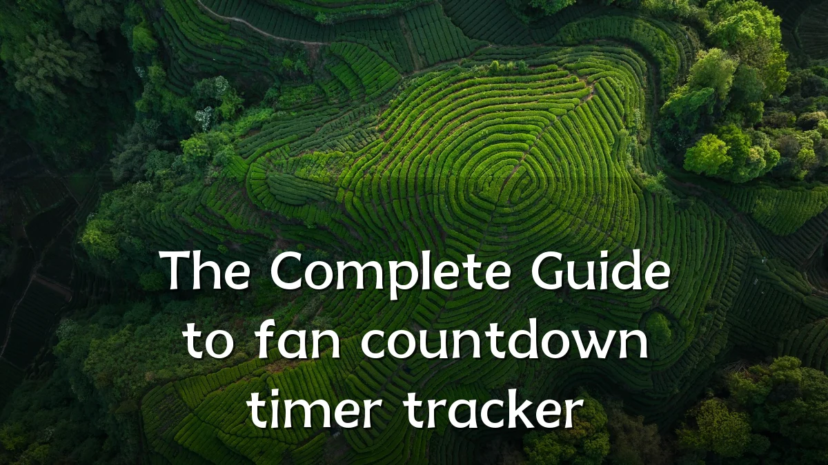 The Complete Guide to fan countdown timer tracker