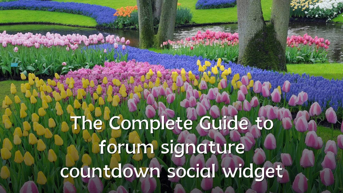 The Complete Guide to forum signature countdown social widget