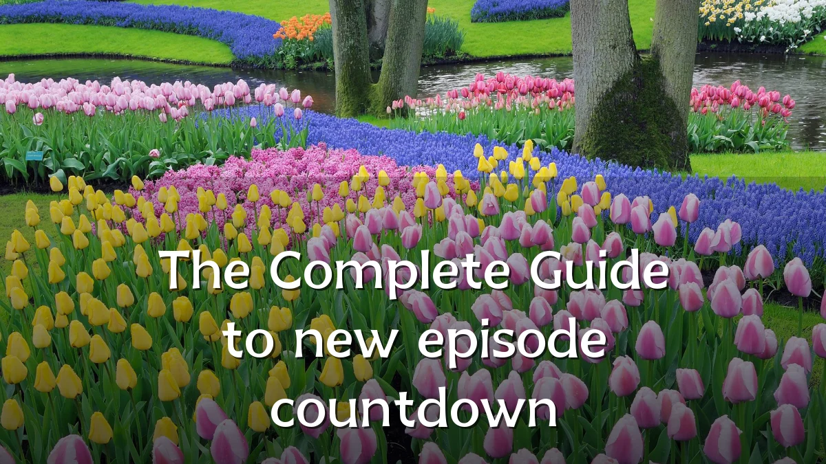 The Complete Guide to new episode countdown