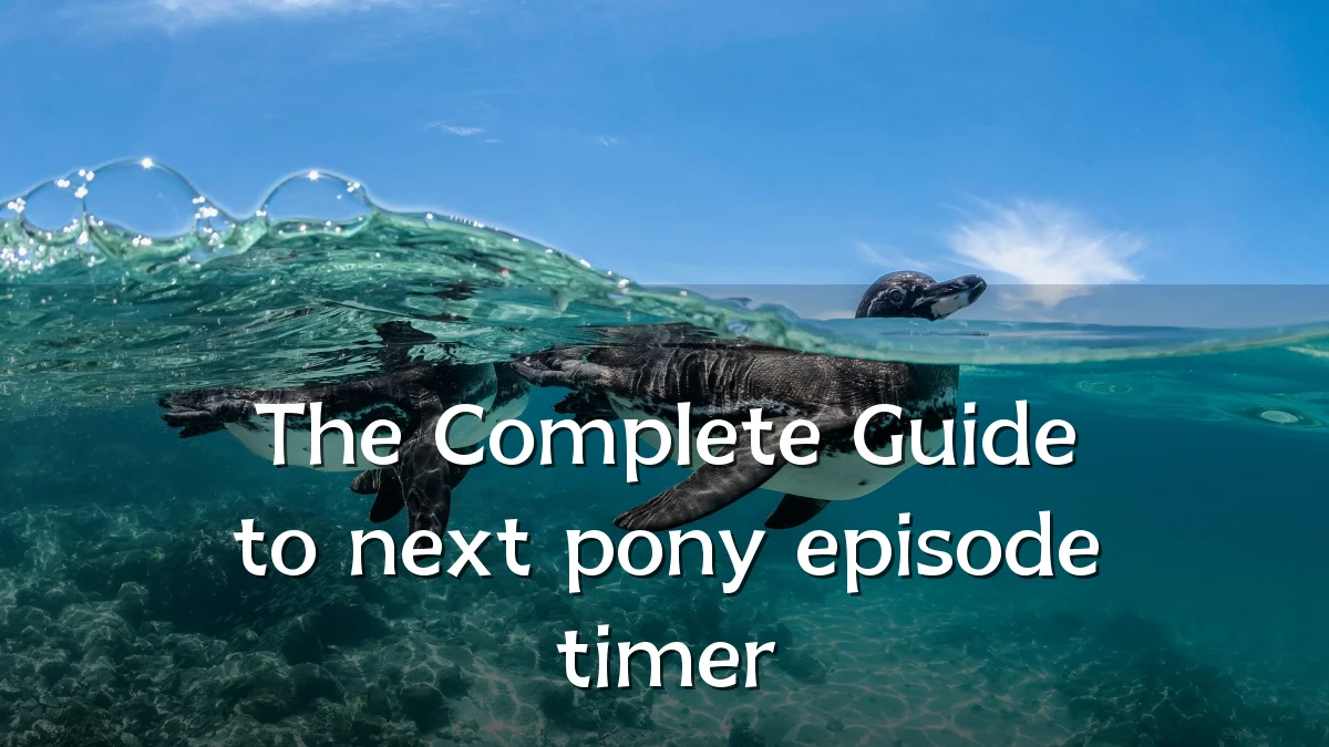 The Complete Guide to next pony episode timer