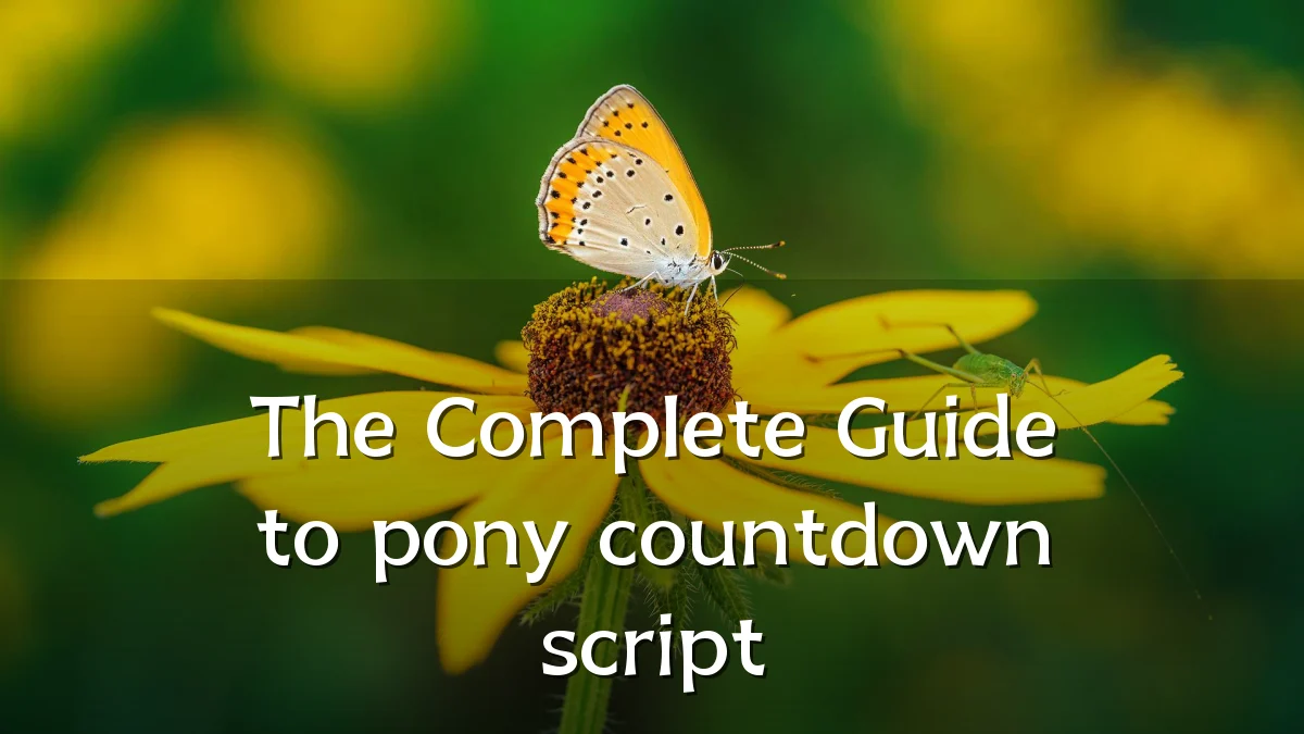 The Complete Guide to pony countdown script