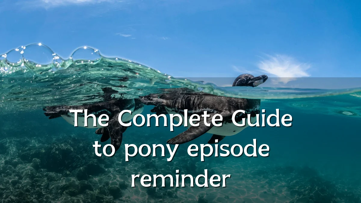 The Complete Guide to pony episode reminder