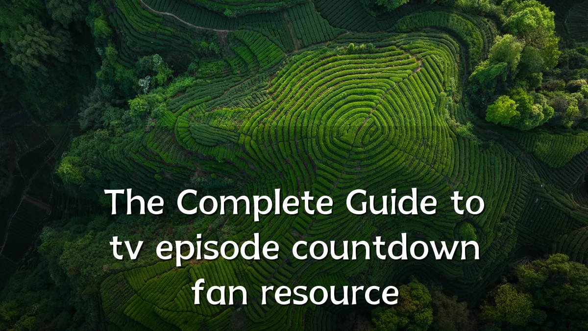 The Complete Guide to tv episode countdown fan resource