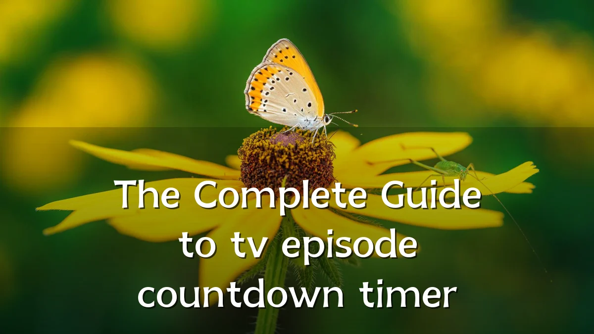 The Complete Guide to tv episode countdown timer