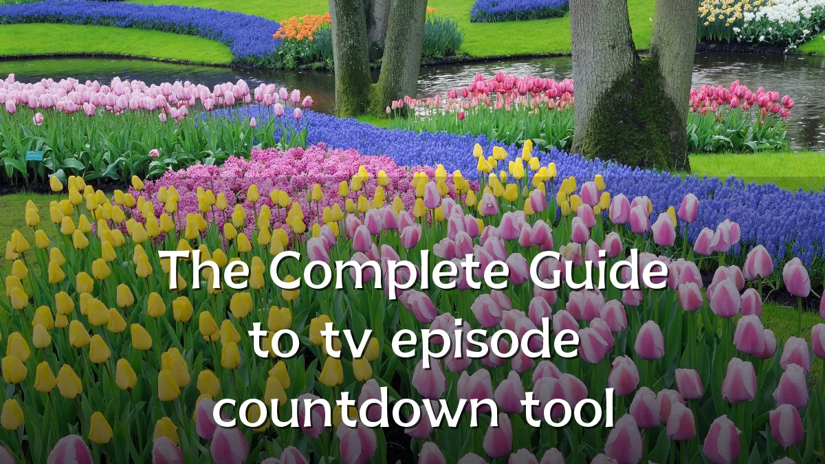 The Complete Guide to tv episode countdown tool