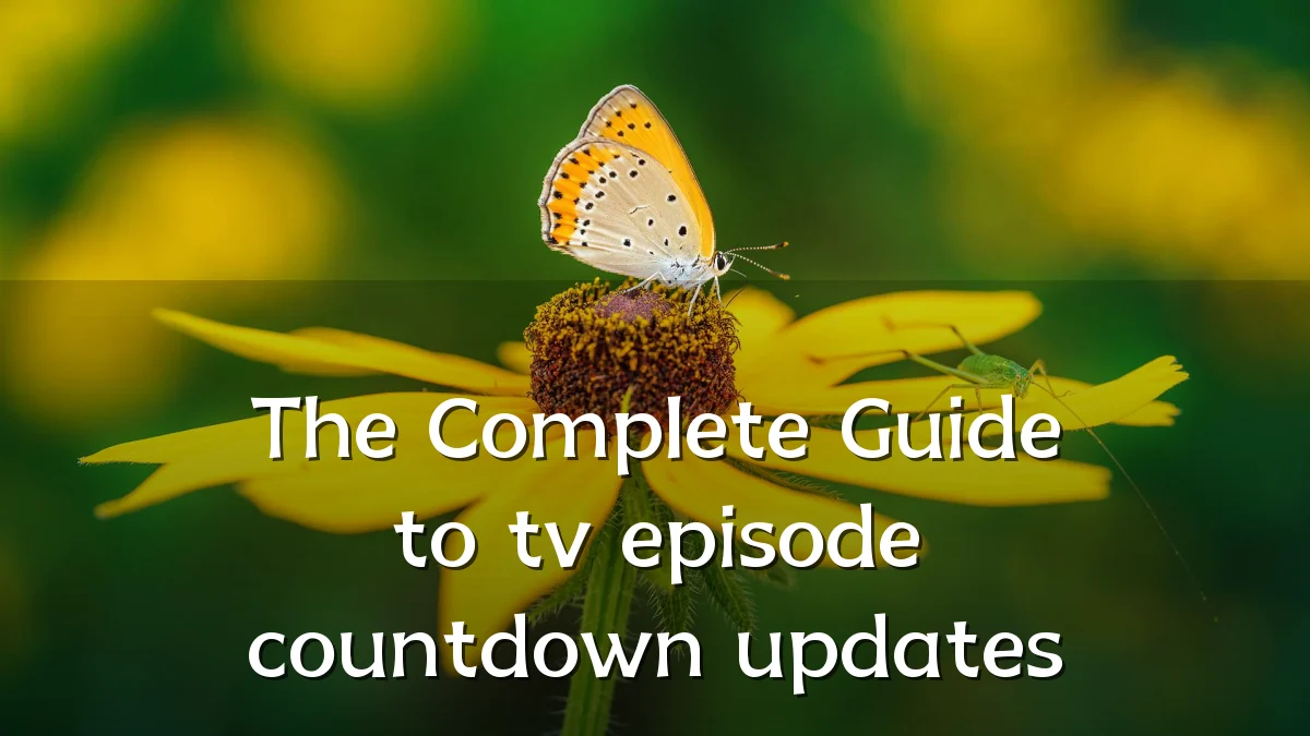 The Complete Guide to tv episode countdown updates