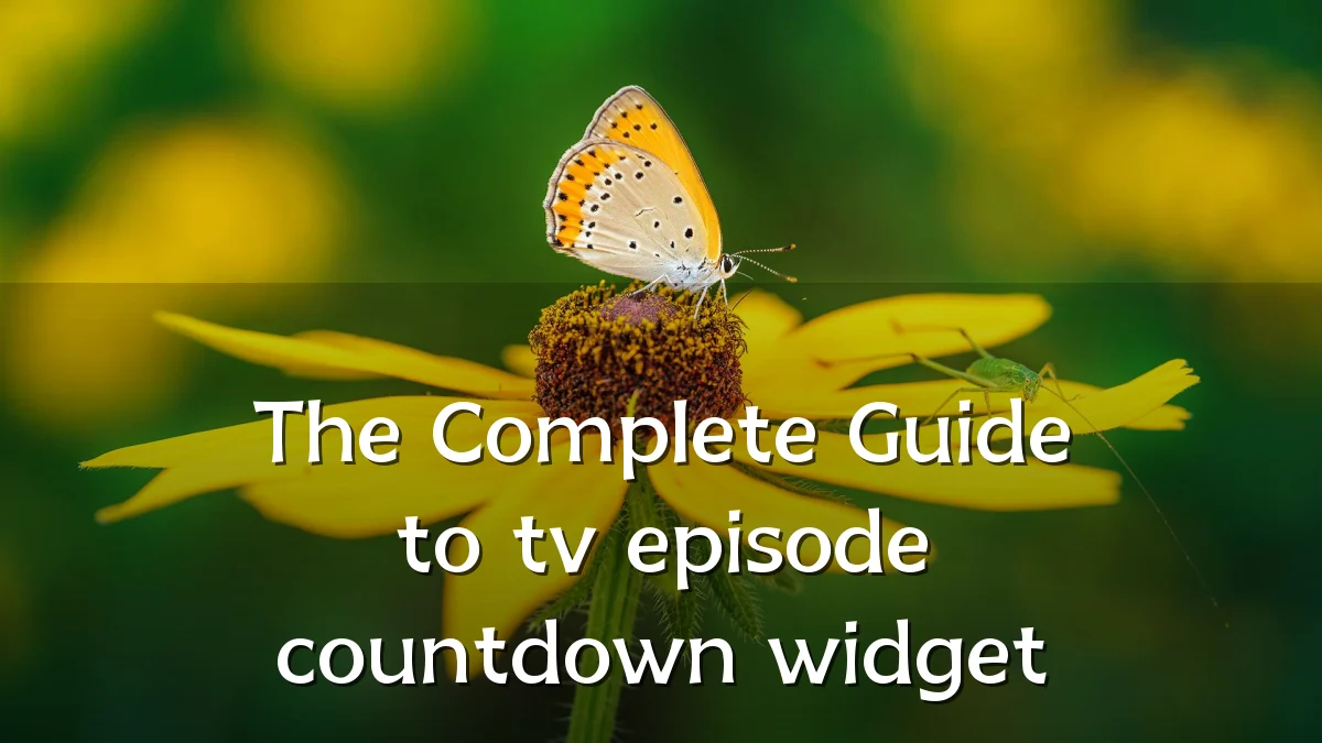 The Complete Guide to tv episode countdown widget