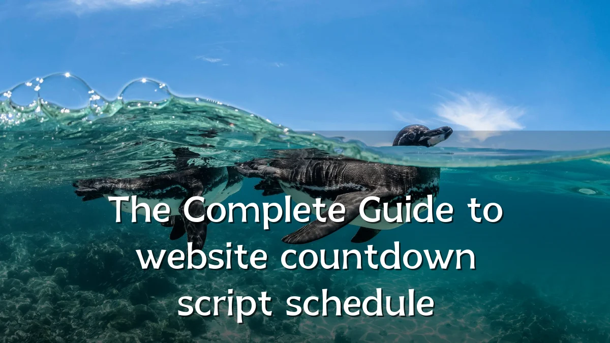 The Complete Guide to website countdown script schedule