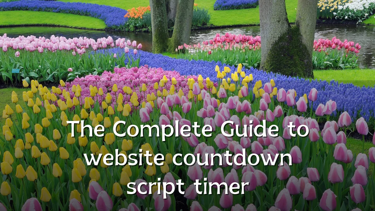 The Complete Guide to website countdown script timer