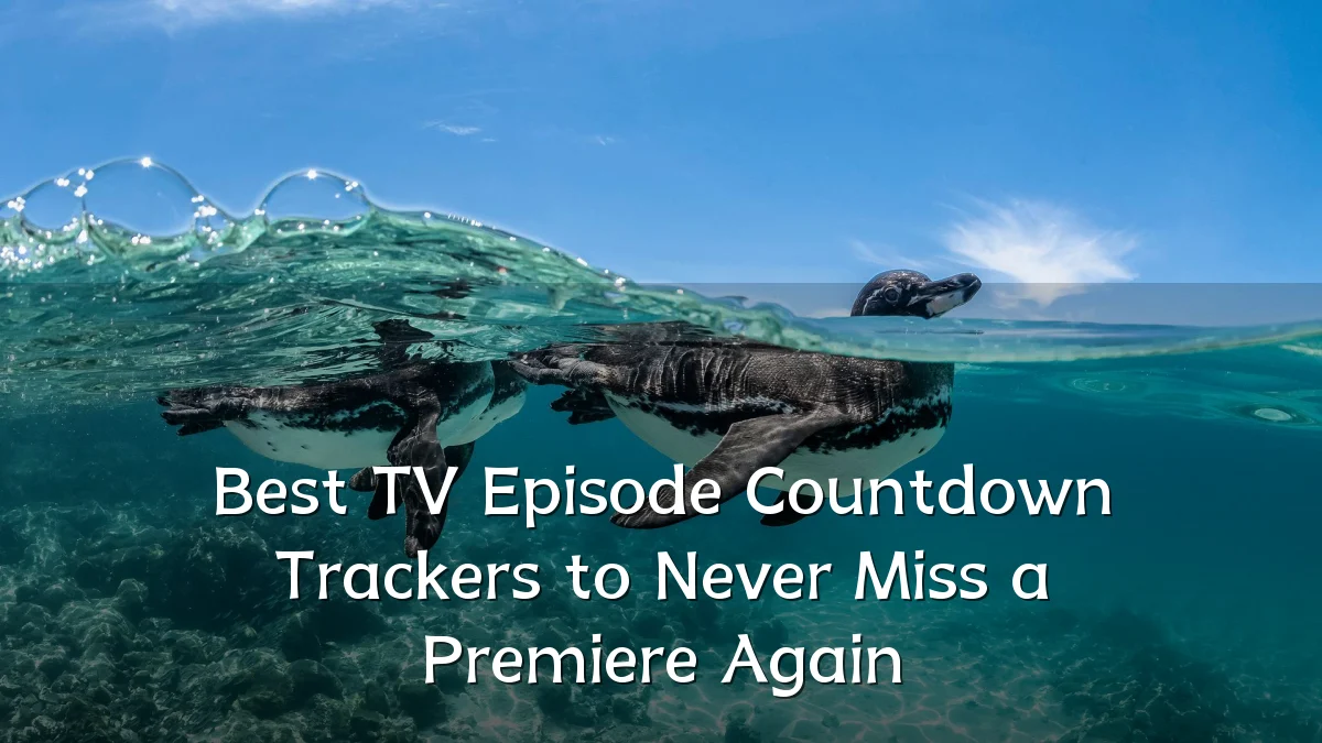 Best TV Episode Countdown Trackers to Never Miss a Premiere Again