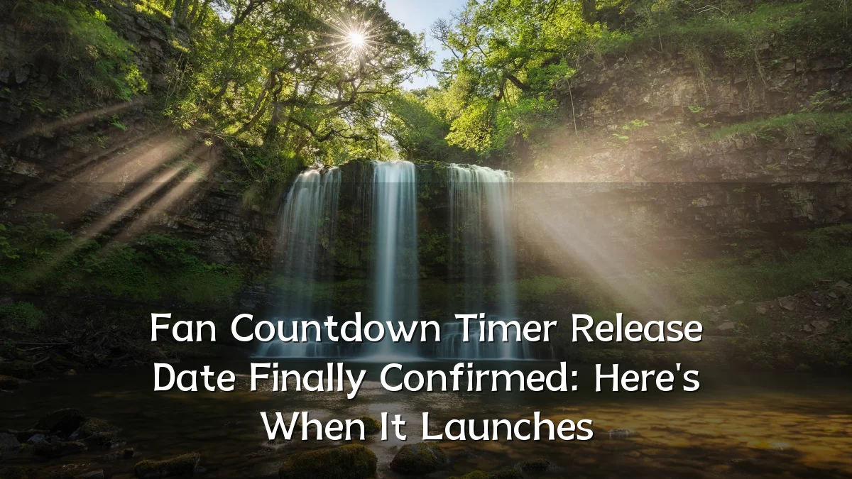 Fan Countdown Timer Release Date Finally Confirmed: Here's When It Launches