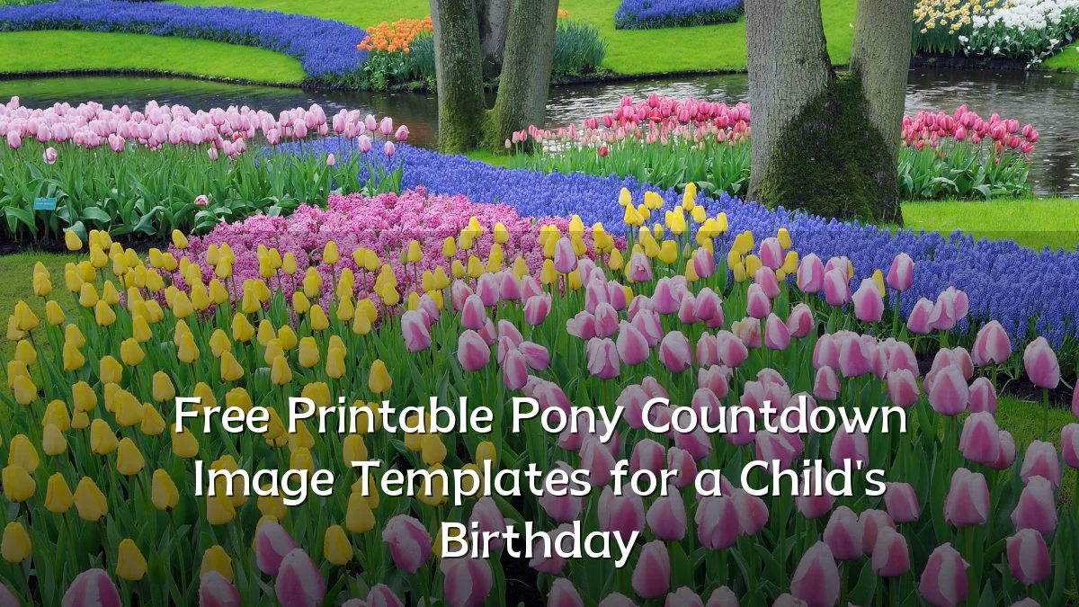 Free Printable Pony Countdown Image Templates for a Child's Birthday