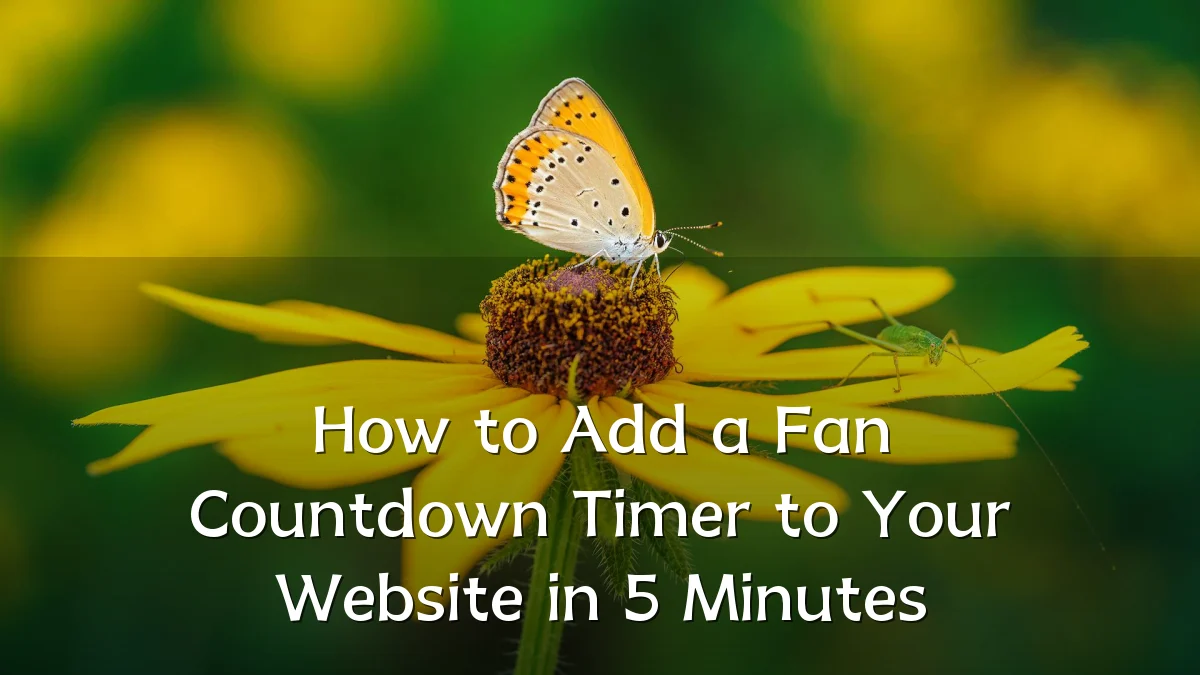 How to Add a Fan Countdown Timer to Your Website in 5 Minutes