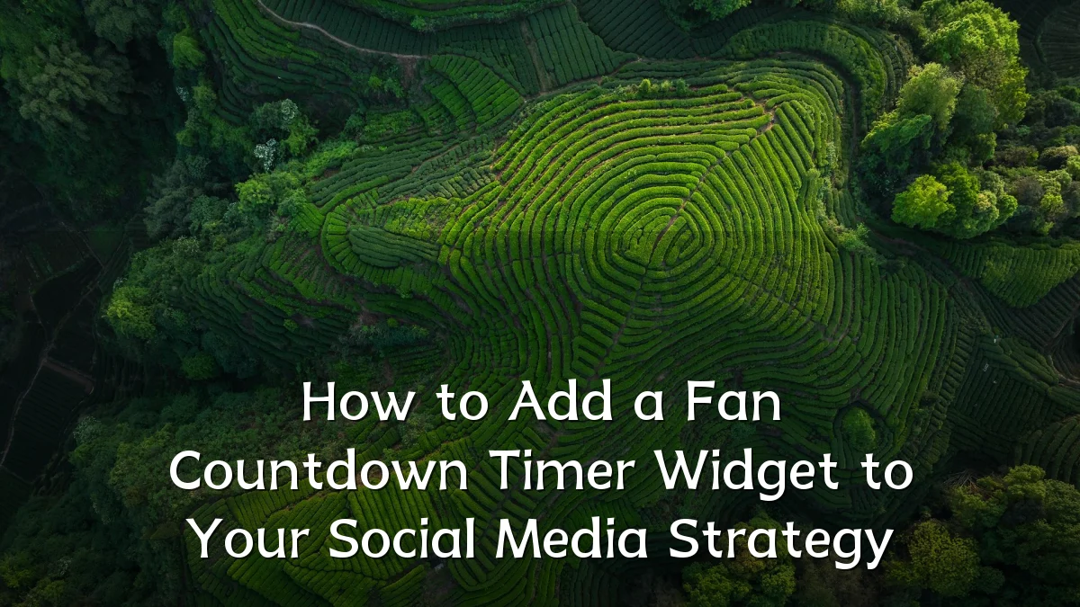 How to Add a Fan Countdown Timer Widget to Your Social Media Strategy