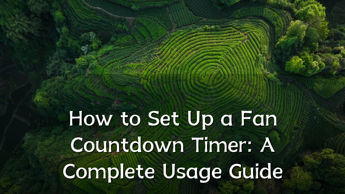 How to Set Up a Fan Countdown Timer: A Complete Usage Guide