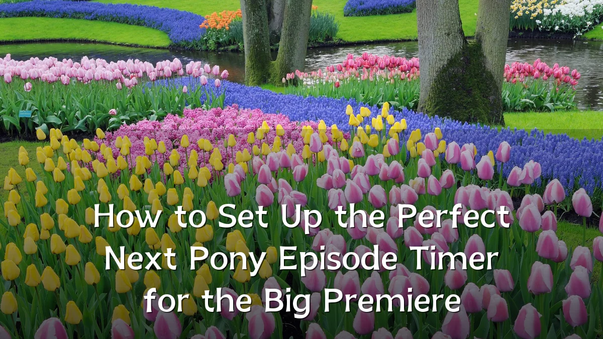How to Set Up the Perfect Next Pony Episode Timer for the Big Premiere