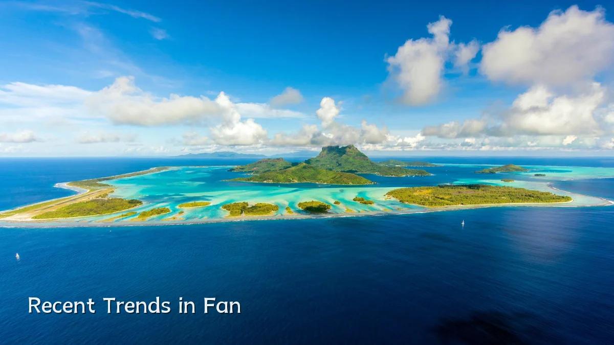Recent Trends in Fan
