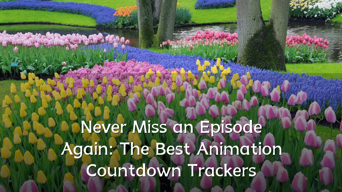 Never Miss an Episode Again: The Best Animation Countdown Trackers