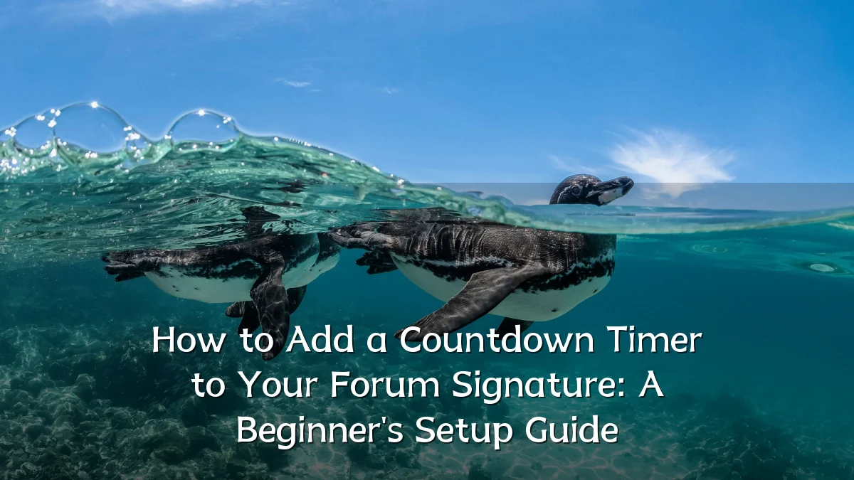 How to Add a Countdown Timer to Your Forum Signature: A Beginner's Setup Guide