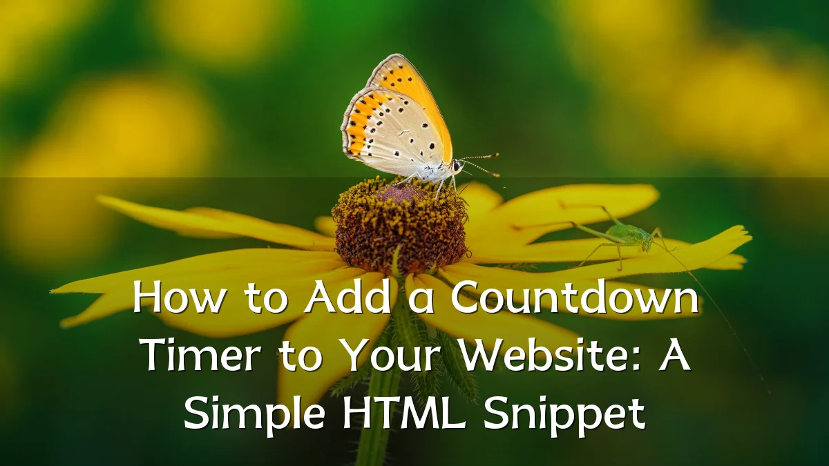 How to Add a Countdown Timer to Your Website: A Simple HTML Snippet